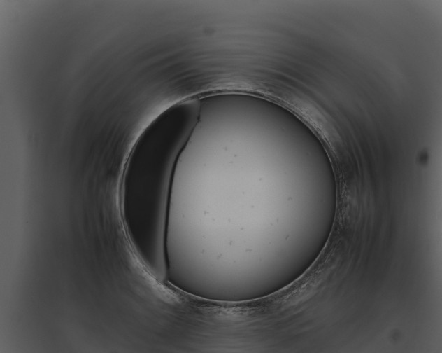 X0000095691084200801151143