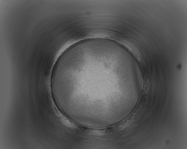 X0000095691086200801151143