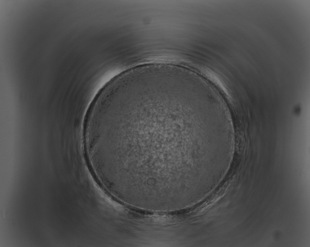 X0000095691087200801151143