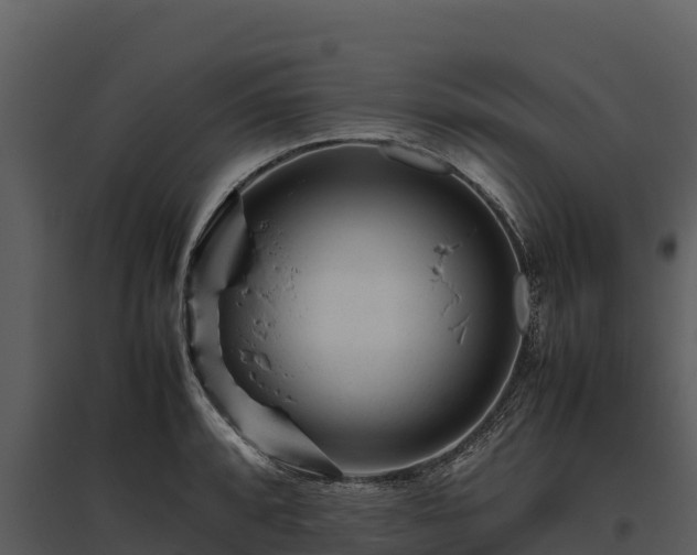 X0000095691088200801151143