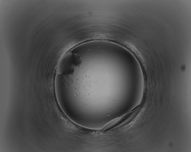X0000095691089200801151143