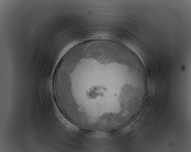 X0000095691090200801151143