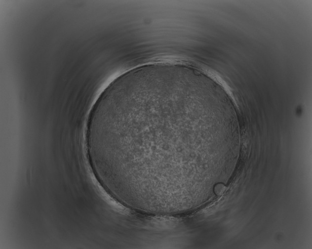 X0000095691091200801151143