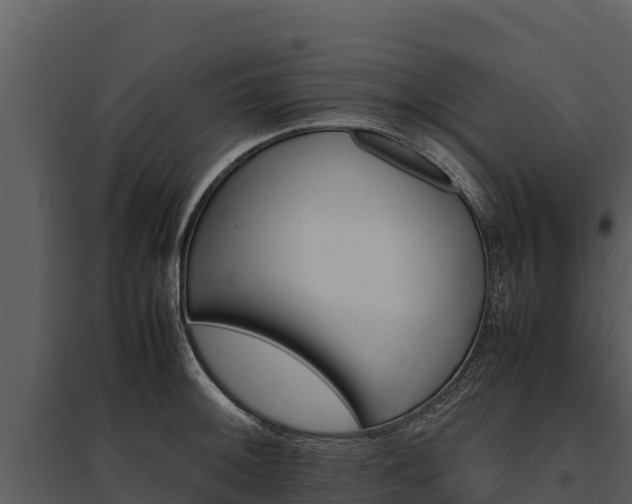 X0000095691092200801151143