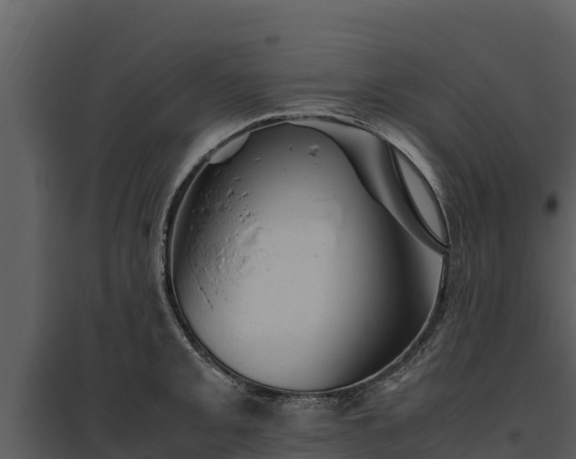 X0000095691093200801151143