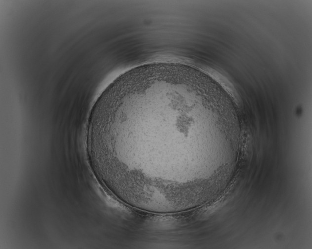 X0000095691094200801151143