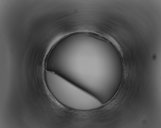 X0000095691096200801151143