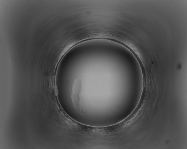 X0000095691097200801151143