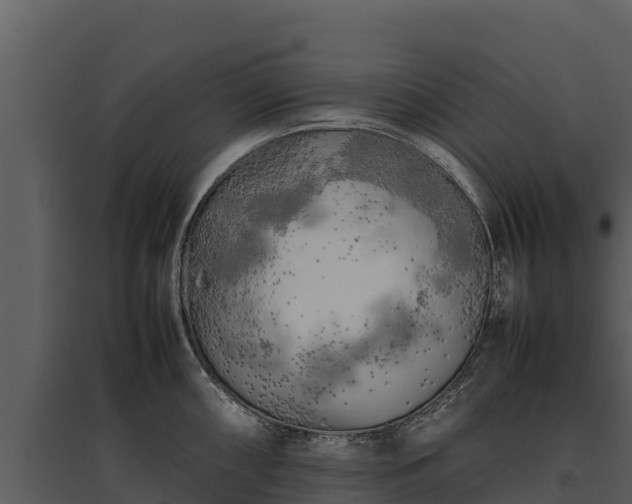 X0000095691098200801151143