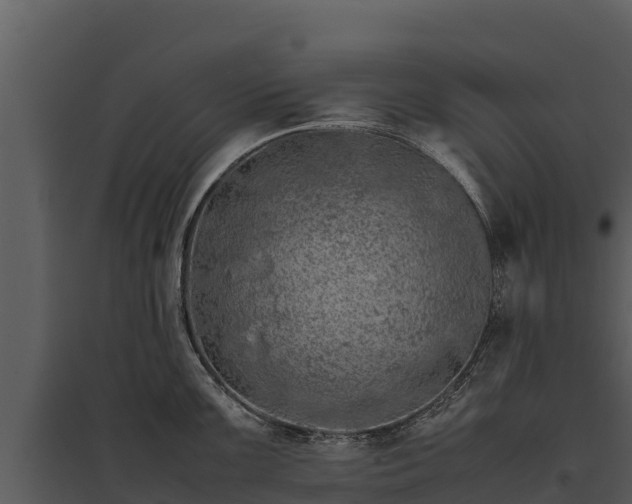 X0000095691099200801151143