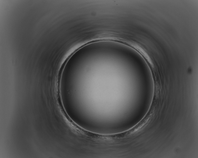 X0000095691101200801151143