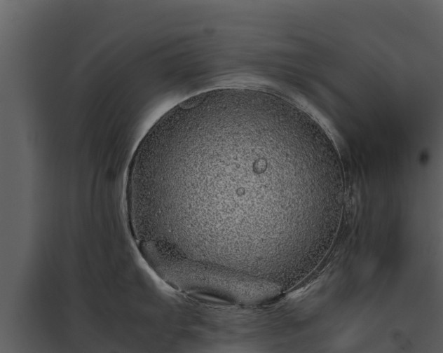 X0000095691103200801151142