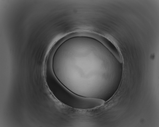 X0000095691104200801151142