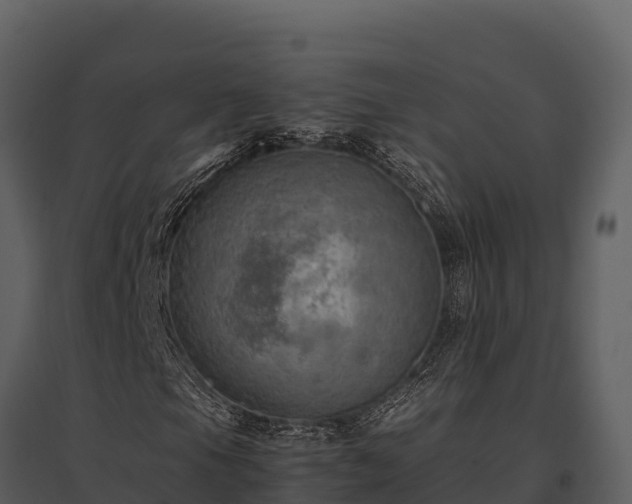 X0000095691105200801151142