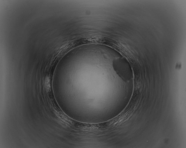 X0000095691106200801151142