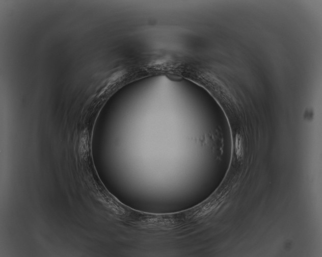 X0000095691107200801151142