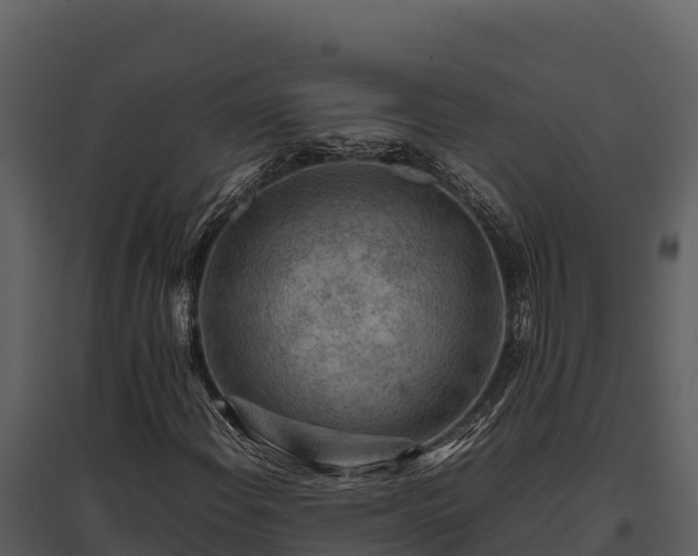 X0000095691108200801151142