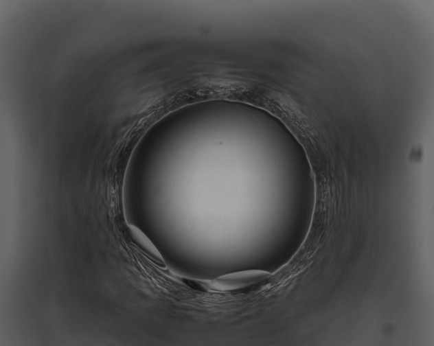 X0000095691109200801151142