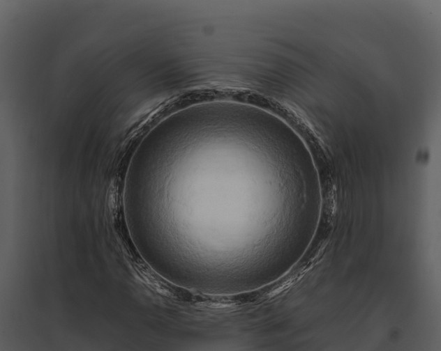 X0000095691110200801151142