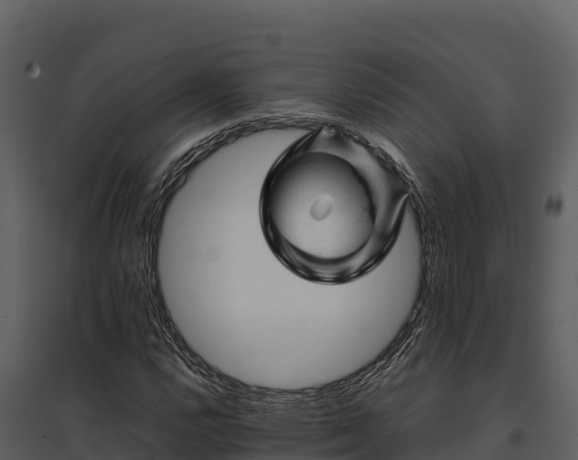X0000095691112200801151142