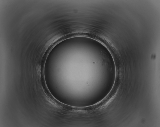 X0000095691113200801151142