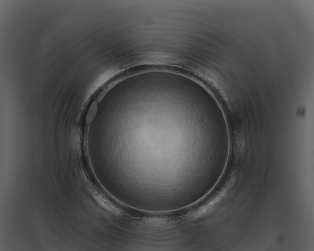 X0000095691114200801151142
