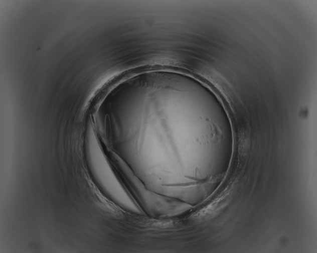 X0000095691115200801151142