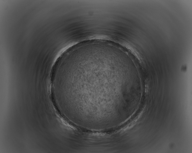 X0000095691117200801151142