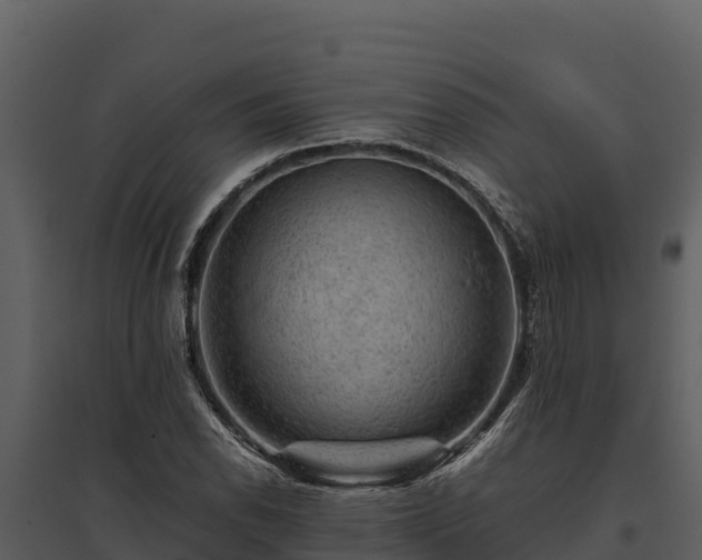 X0000095691118200801151142