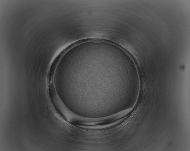 X0000095691120200801151142