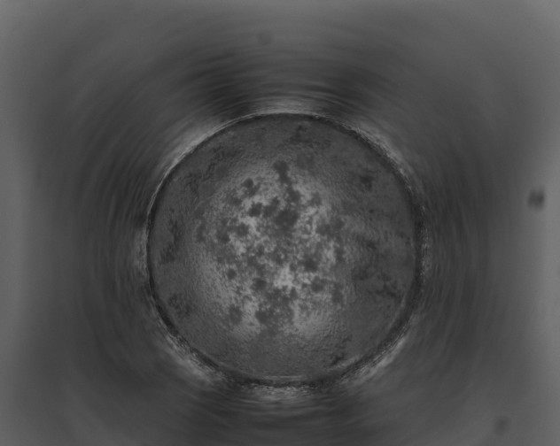 X0000095691121200801151142
