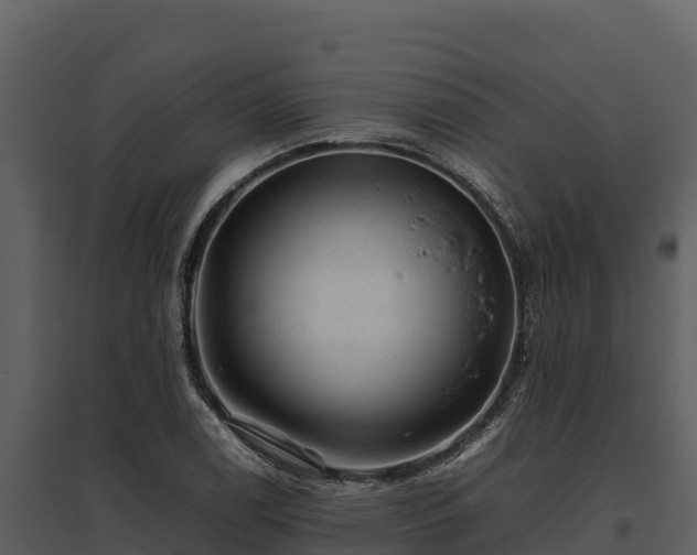 X0000095691122200801151142