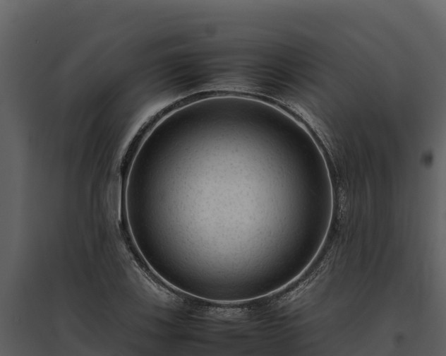 X0000095691123200801151142