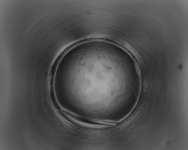 X0000095691124200801151142
