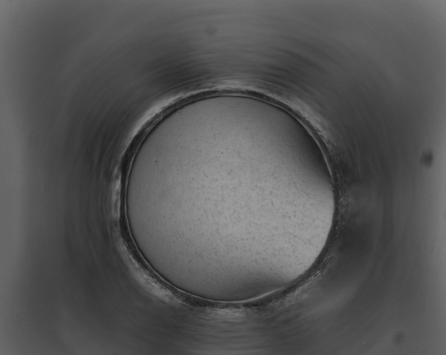 X0000095691126200801151142