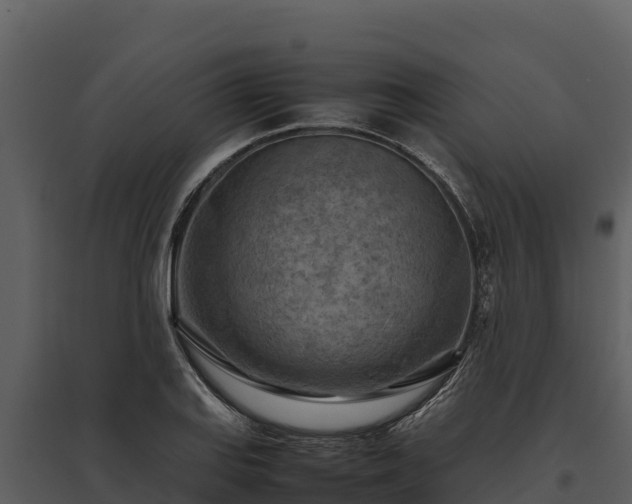 X0000095691127200801151142