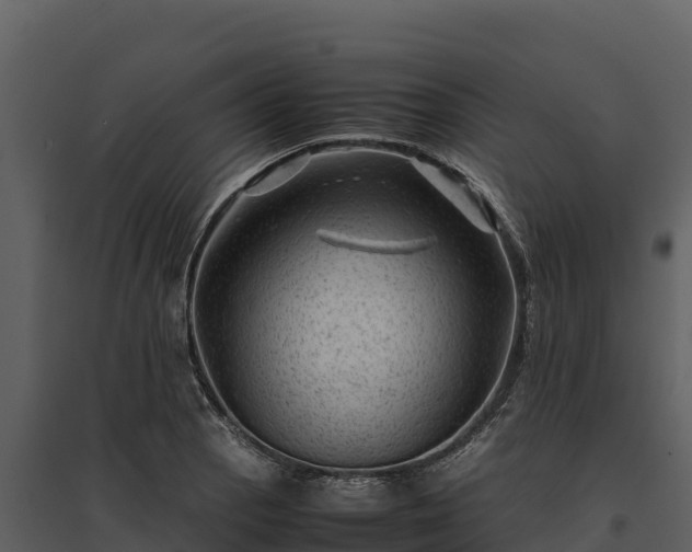 X0000095691129200801151142