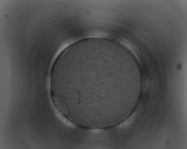 X0000095691130200801151142