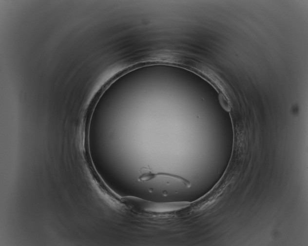 X0000095691131200801151142