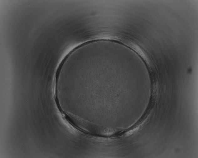 X0000095691132200801151142
