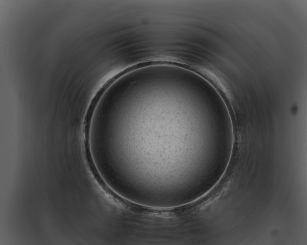 X0000095691133200801151142