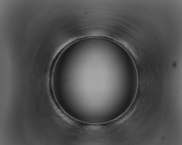 X0000095691134200801151142