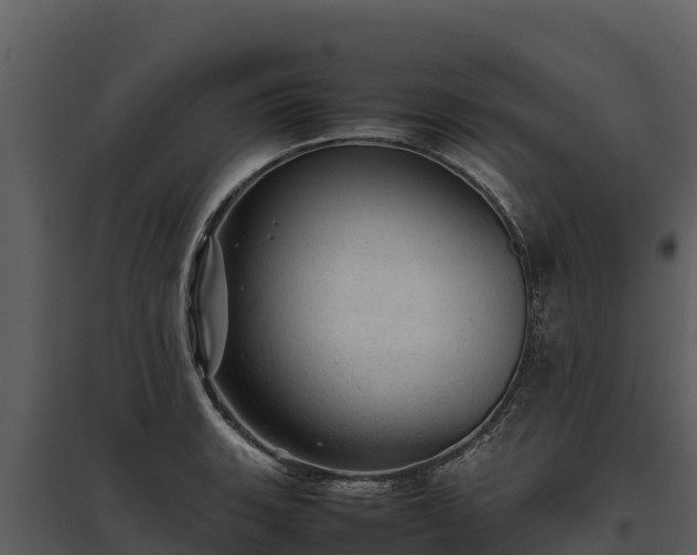 X0000095691135200801151142