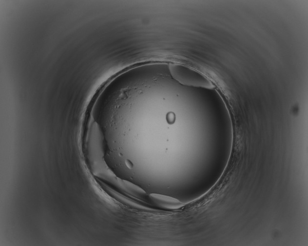 X0000095691136200801151142