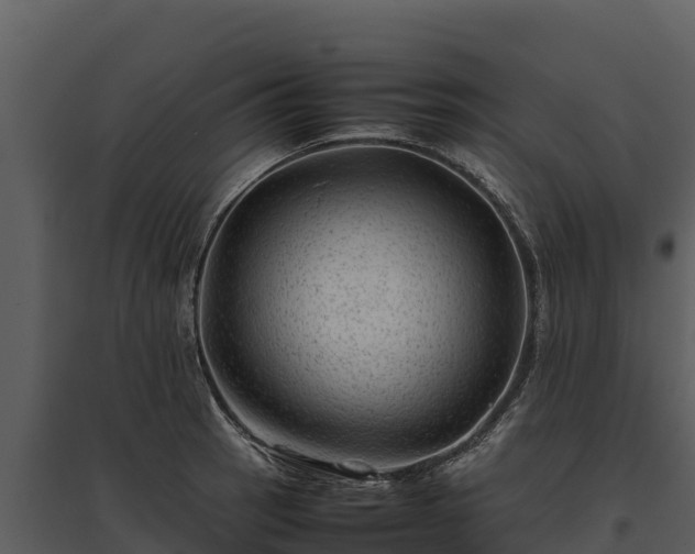 X0000095691137200801151142