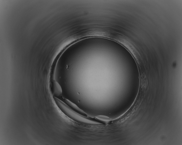 X0000095691139200801151142