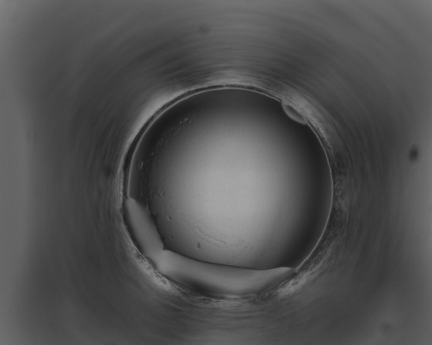 X0000095691140200801151142