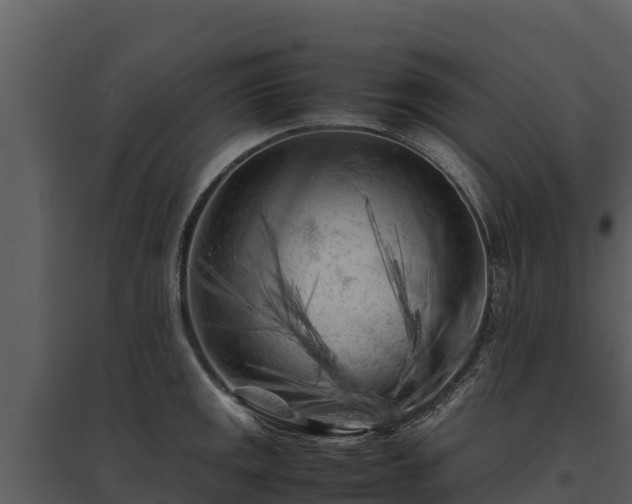 X0000095691141200801151142