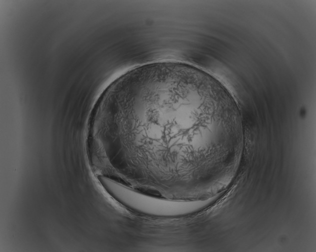 X0000095691142200801151142