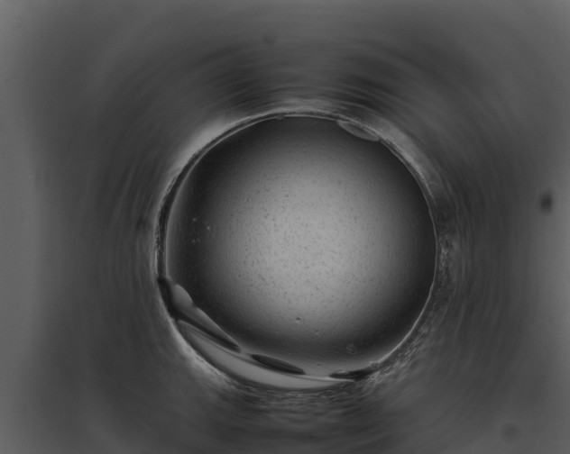 X0000095691143200801151142